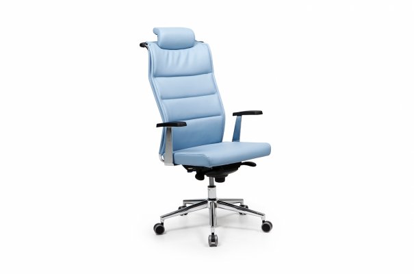 File Plus 9 Chrome Legs, Chrome Armrest Executive Seat