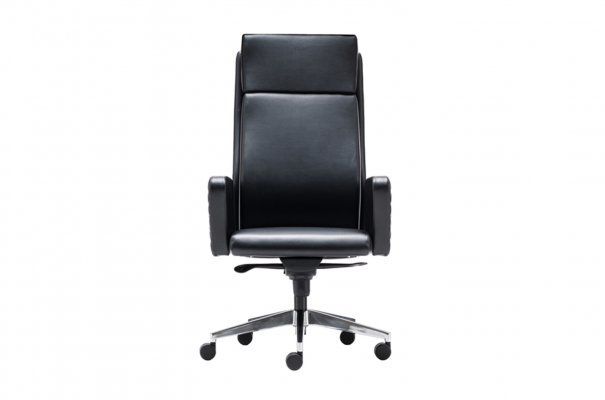 Fold Executive Chair